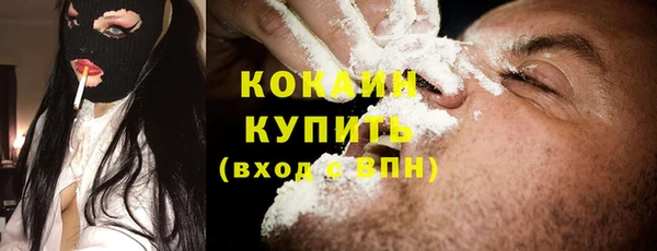 ГАЛЛЮЦИНОГЕННЫЕ ГРИБЫ Лагань
