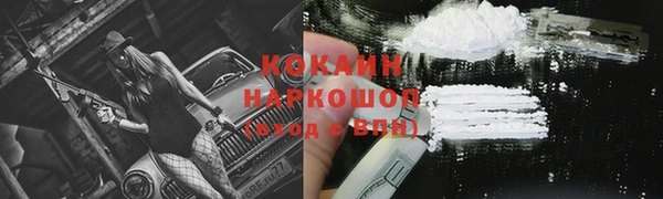 ГАЛЛЮЦИНОГЕННЫЕ ГРИБЫ Лагань