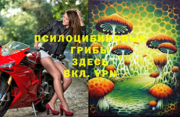 ГАЛЛЮЦИНОГЕННЫЕ ГРИБЫ Лагань