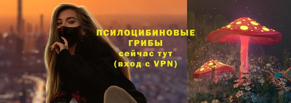 не бодяженный Лабытнанги