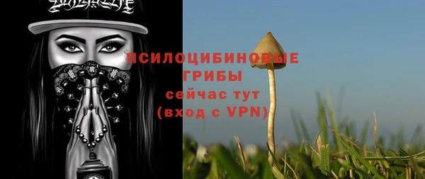 прущий лед Ладушкин