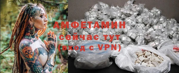 ГАЛЛЮЦИНОГЕННЫЕ ГРИБЫ Лагань