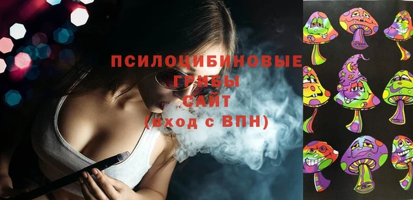 ГАЛЛЮЦИНОГЕННЫЕ ГРИБЫ Лагань