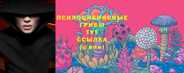ГАЛЛЮЦИНОГЕННЫЕ ГРИБЫ Лагань
