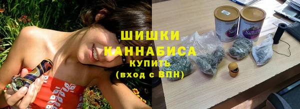 ГАЛЛЮЦИНОГЕННЫЕ ГРИБЫ Лагань