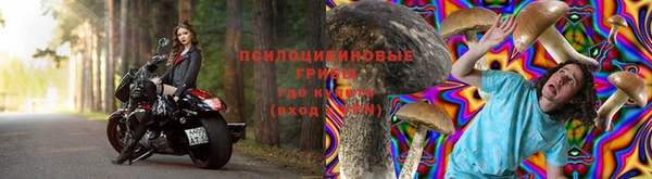 не бодяженный Лабытнанги